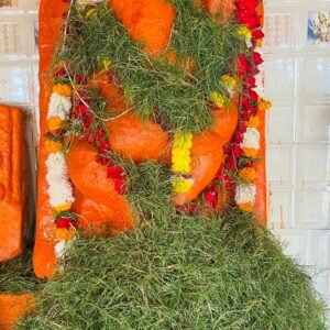 Ganapathi Homam